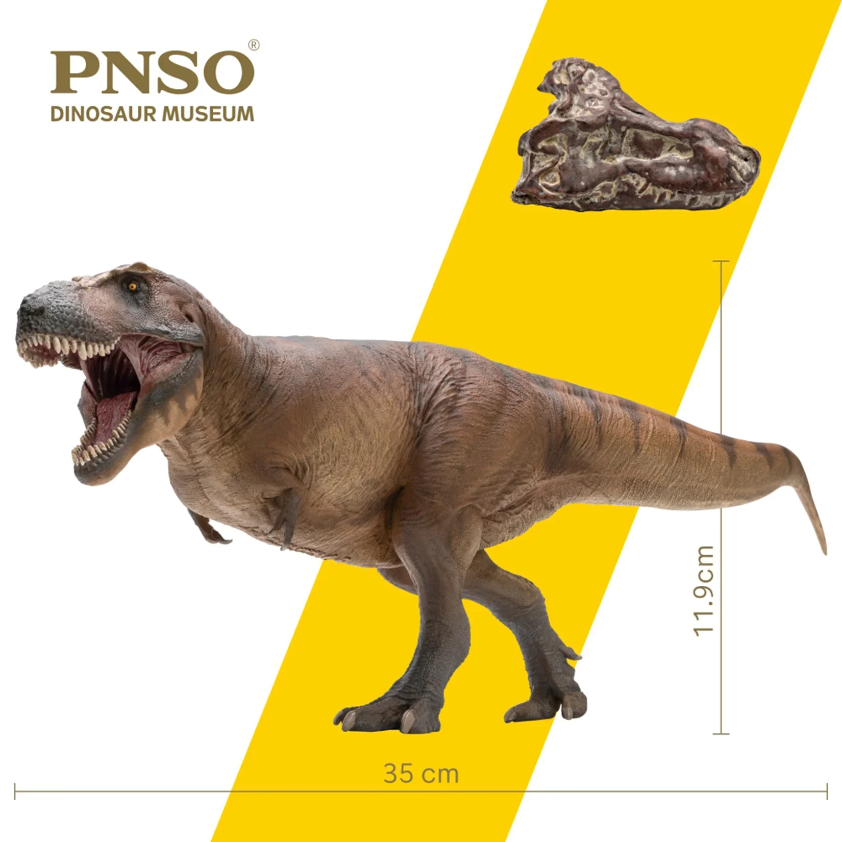 Resin Art Decoration Items - PNSO 1/35 Tyrannosaurus Rex Cameron Modeli