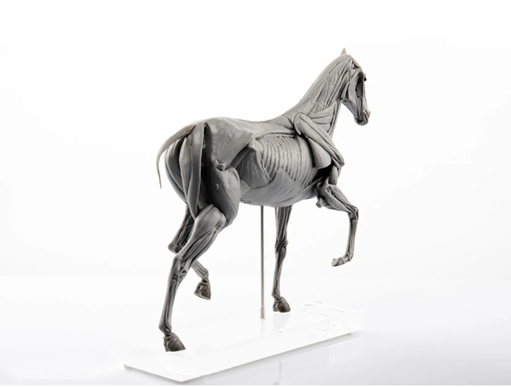 EVOLABORATORY at kas anatomisi - Resin Art Decoration Items incelemesi ve fiyatı