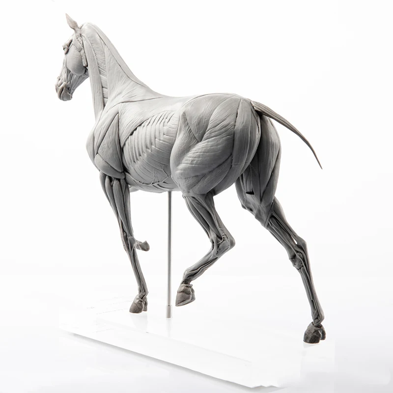 EVOLABORATORY at kas anatomisi - Resin Art Decoration Items incelemesi ve fiyatı