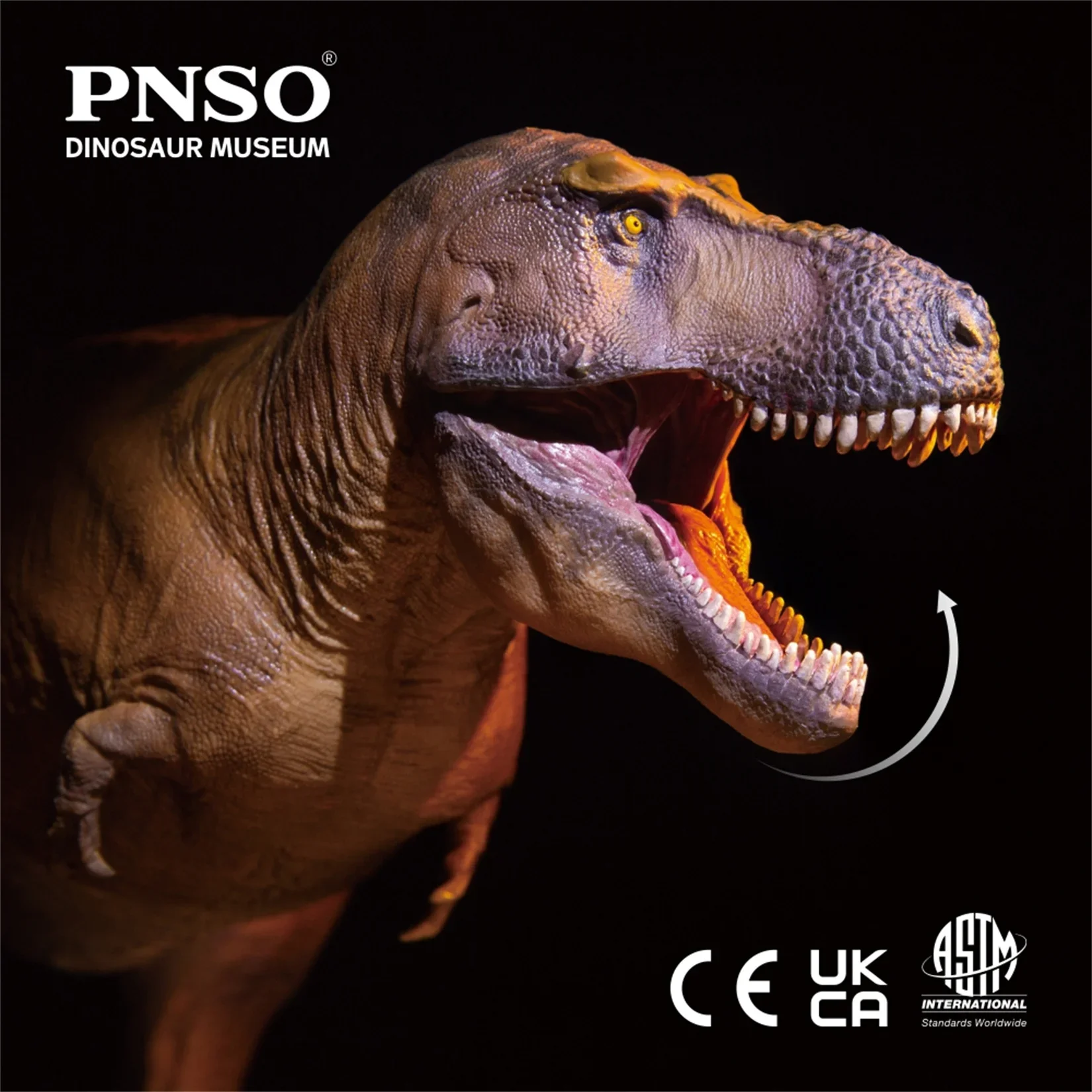 PNSO 1/35 Tyrannosaurus Rex Ca - Resin Art Decoration Items incelemesi ve fiyatı