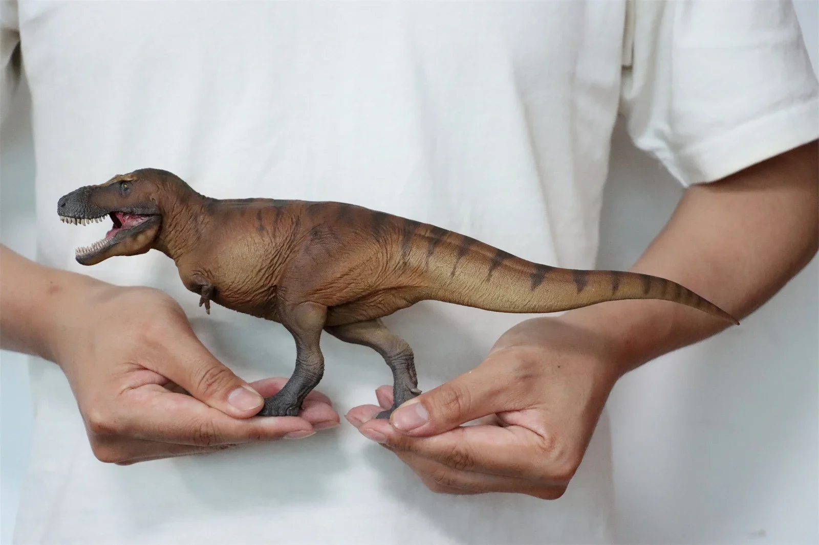 PNSO 1/35 Tyrannosaurus Rex Ca - Resin Art Decoration Items incelemesi ve fiyatı