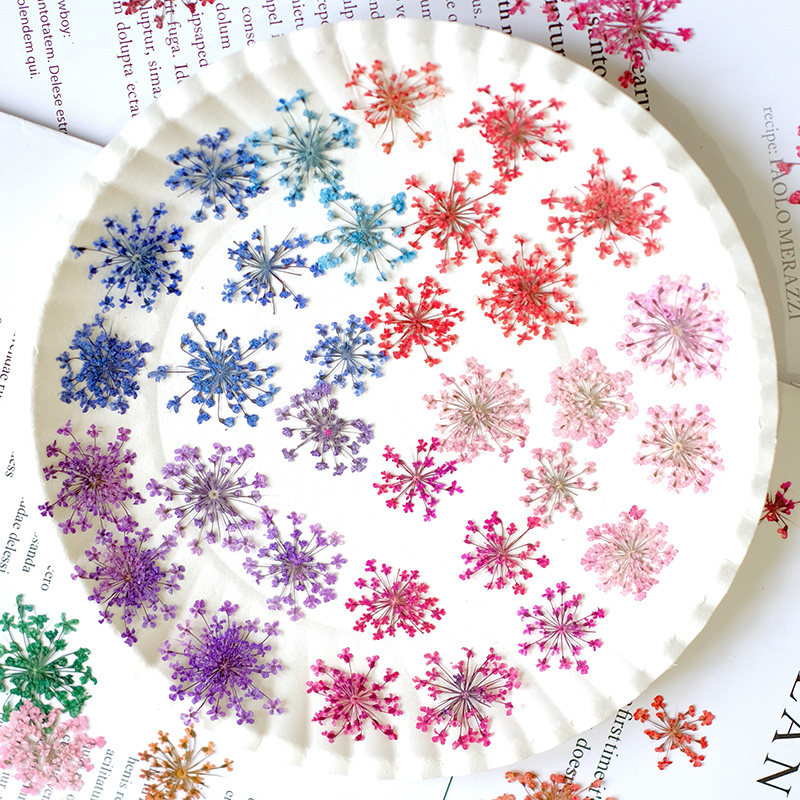 24 adet, 2-2.5cm, Doğal Boyalı - Resin Art Frame incelemesi ve fiyatı